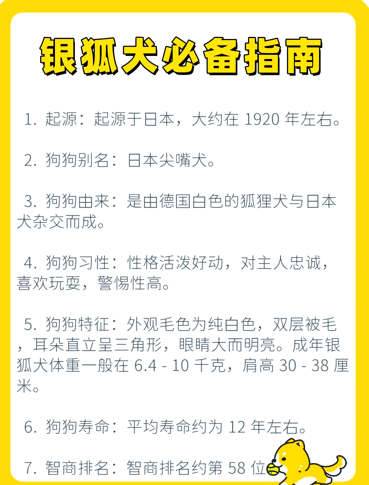 中国狐狸犬 特性图片