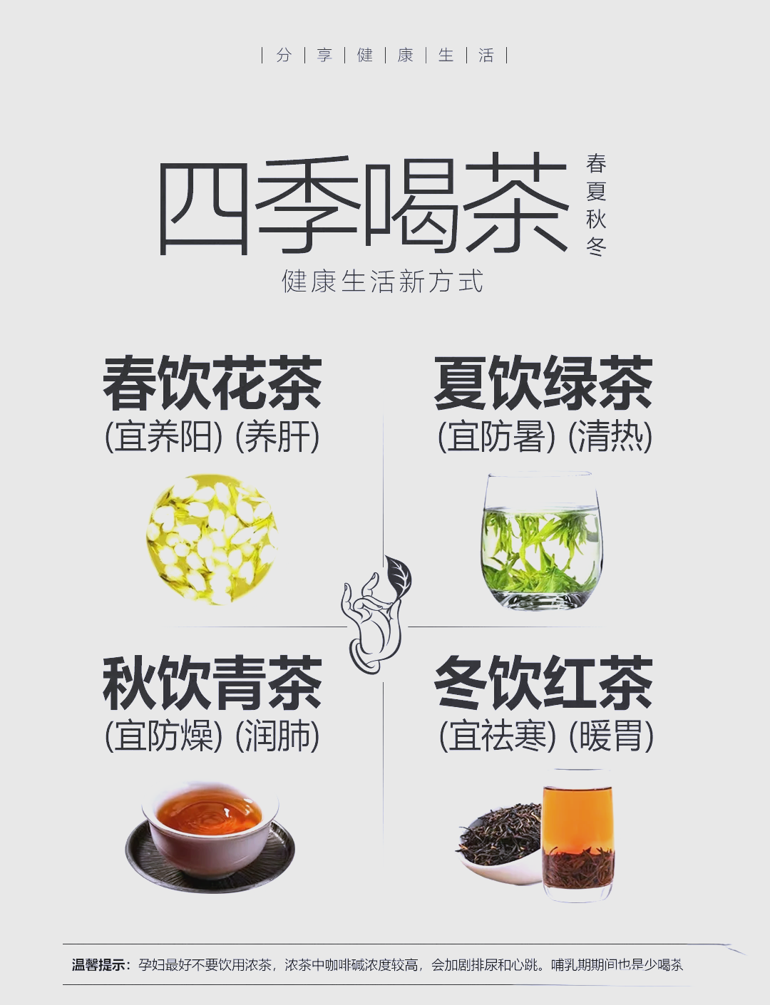 四季喝茶表图片