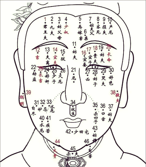 两锁骨正中间有痣图解图片