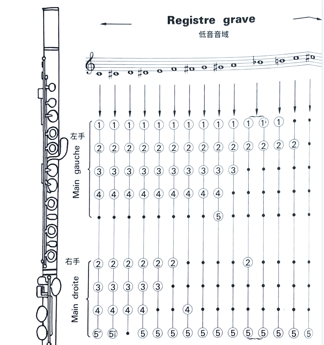 长笛中音3指法图片