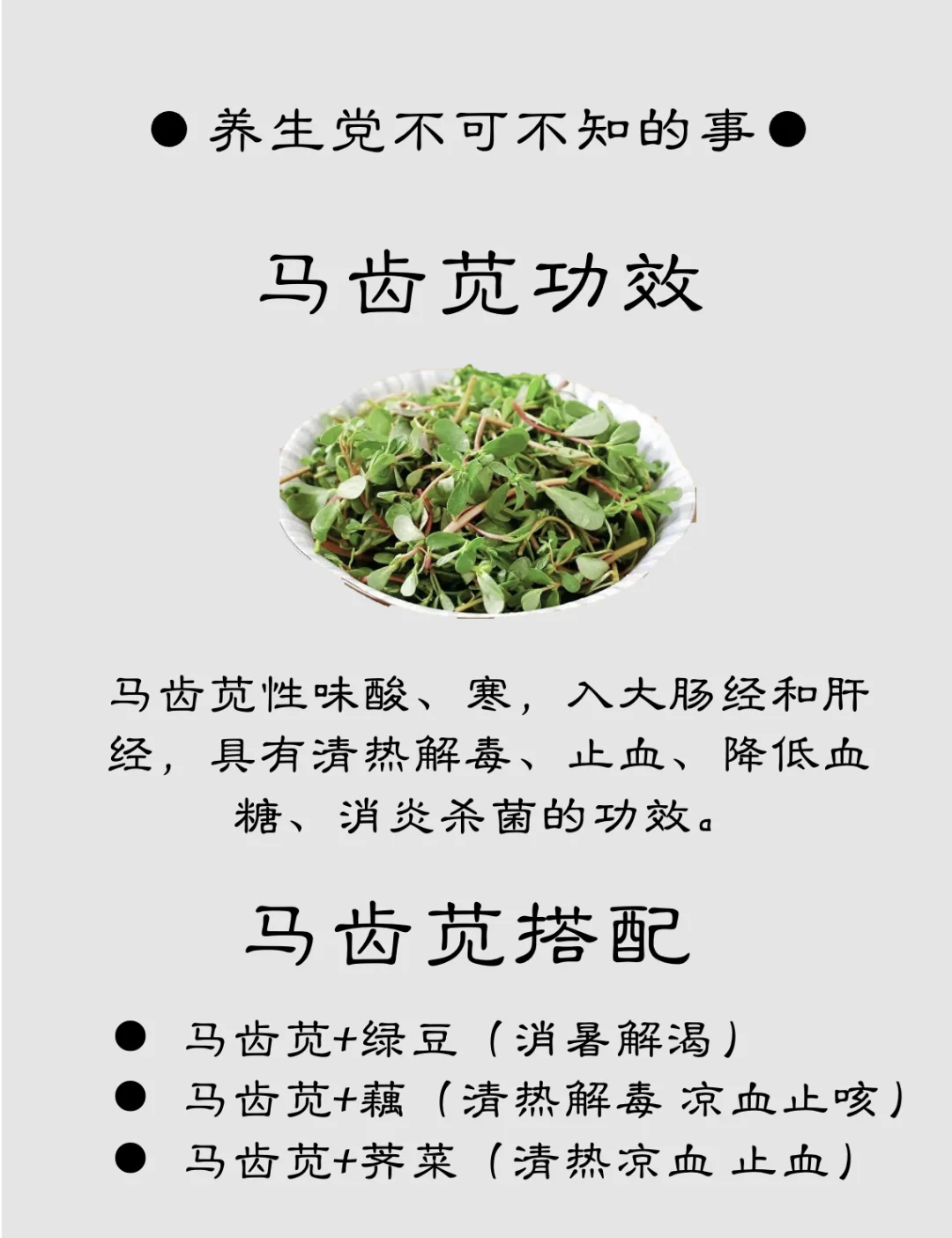 长寿菜的功效与作用图片