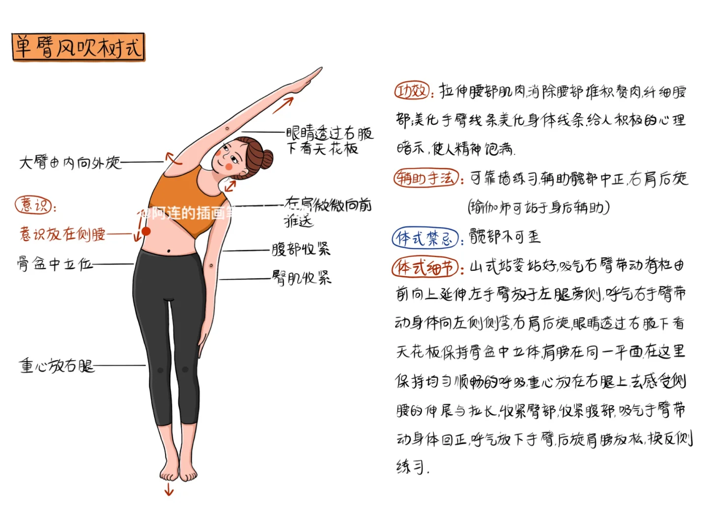 瑜伽单臂风吹树式图片