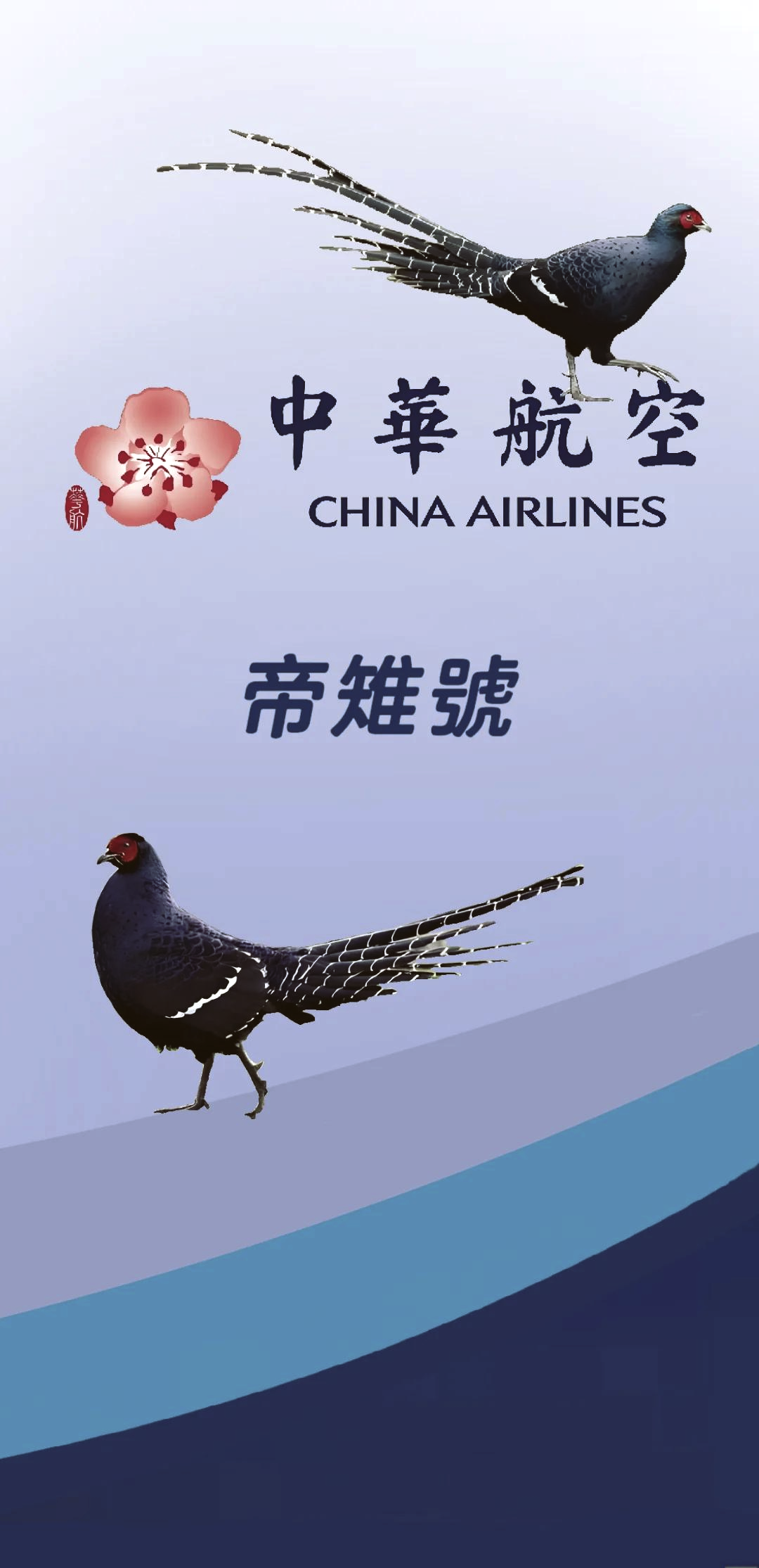 中华航空公司标志图片