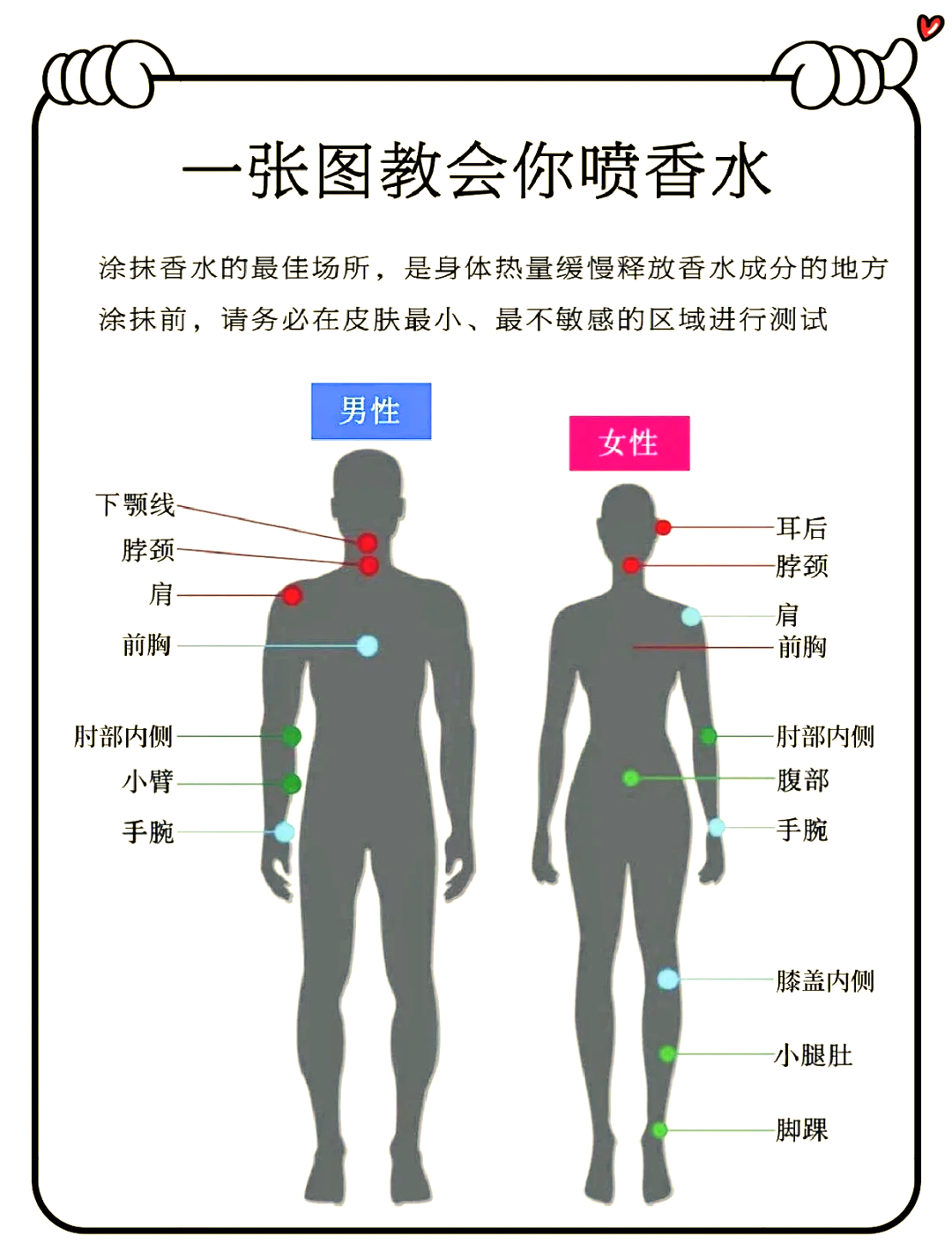 女士香水使用方法图片