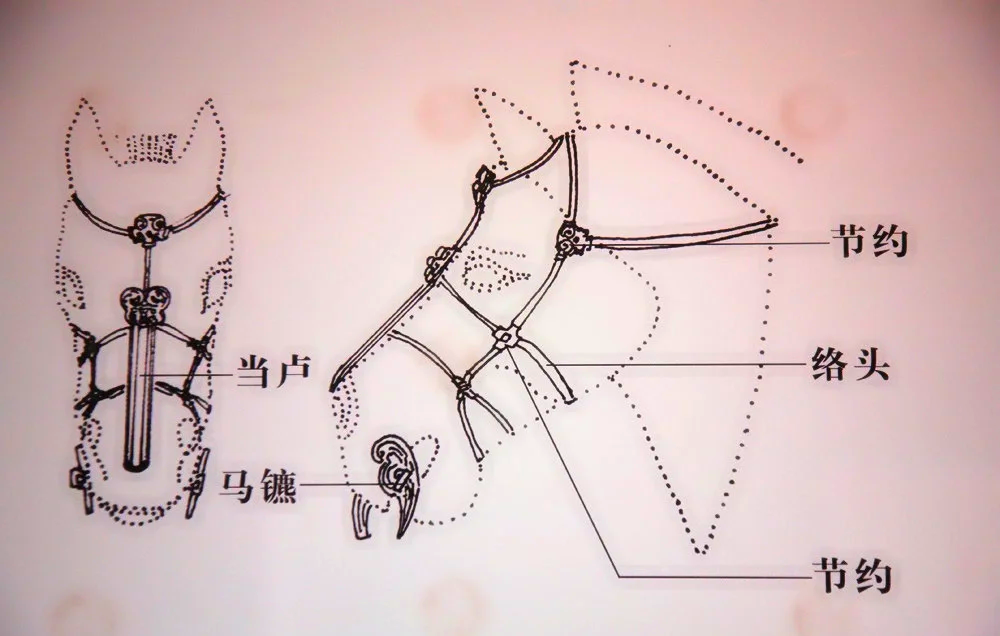 古代马具传送限制图片