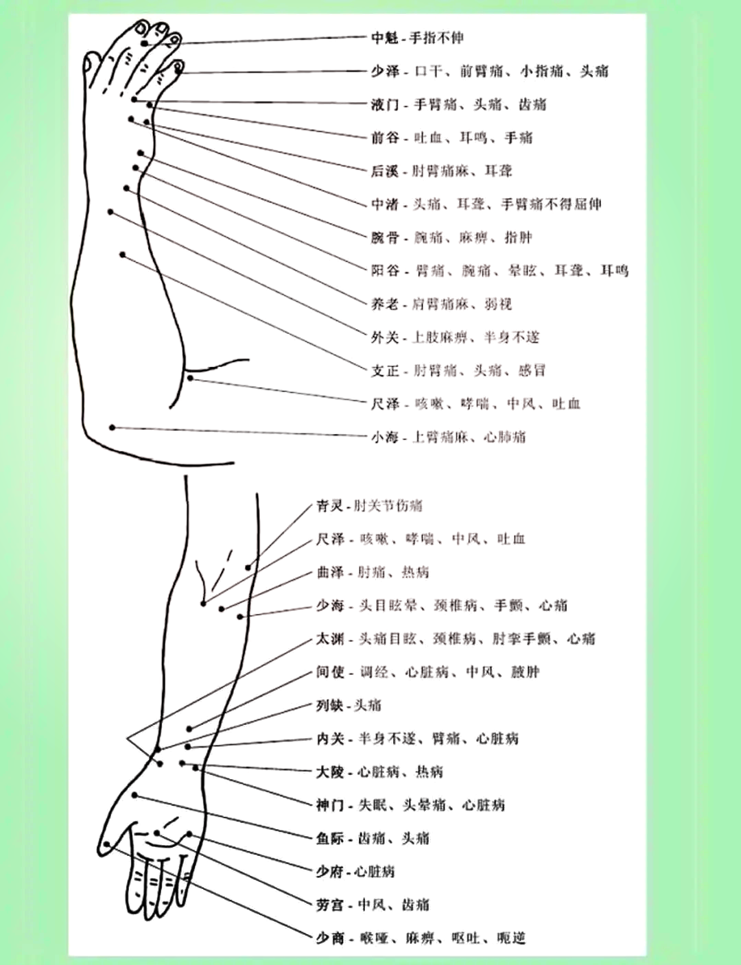 针灸同身寸全身体表图片