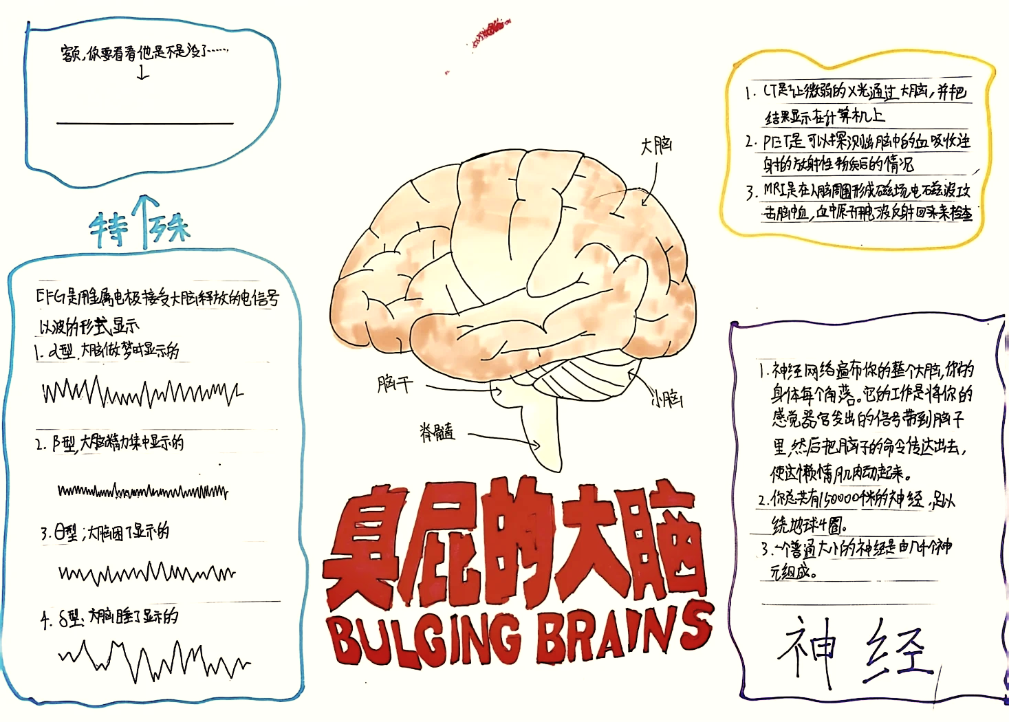 知识手抄报高中图片