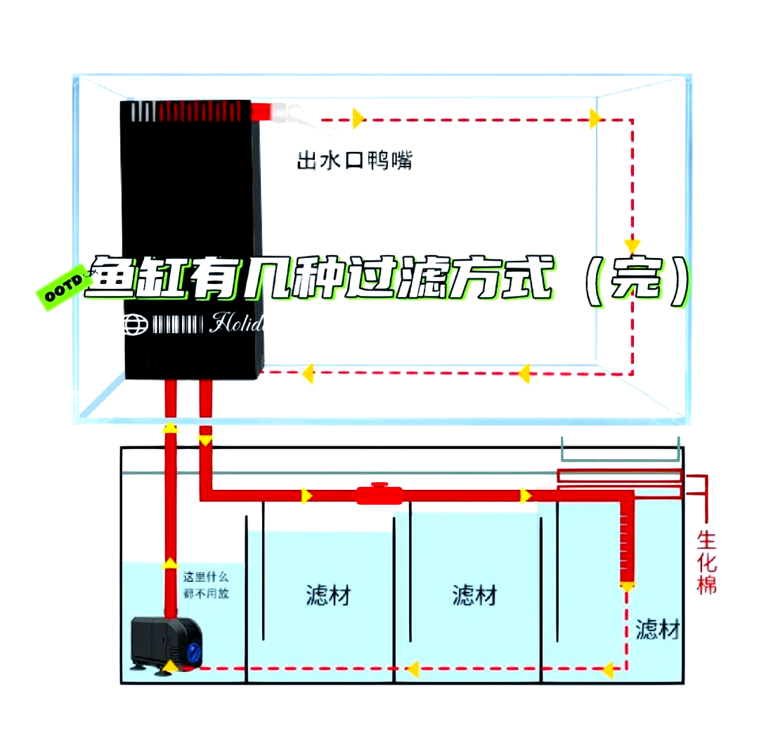 侧滤鱼缸制作图解图片