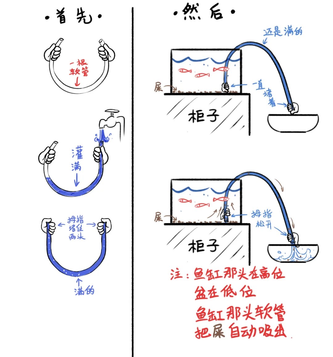 鱼缸粪便分离器图解图片