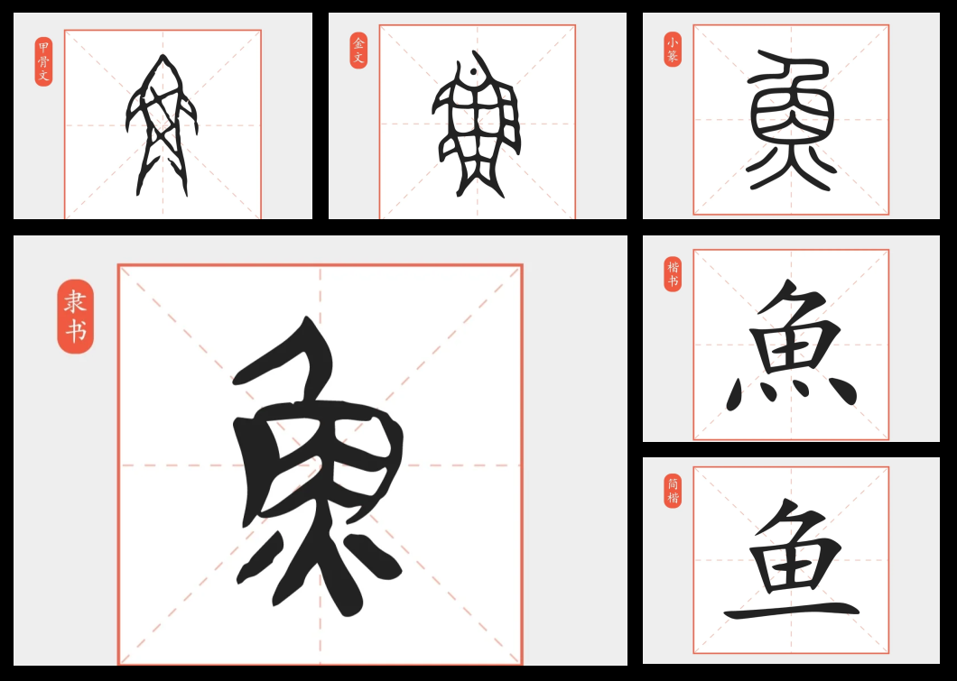 鱼的字体演变过程图片