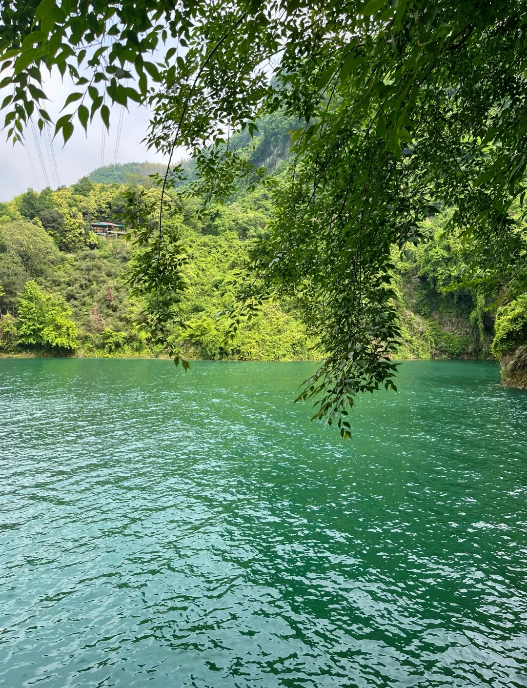 仙岛湖东线图片