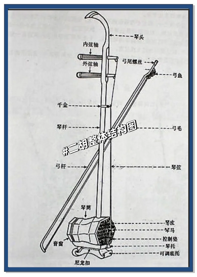 中胡结构图片