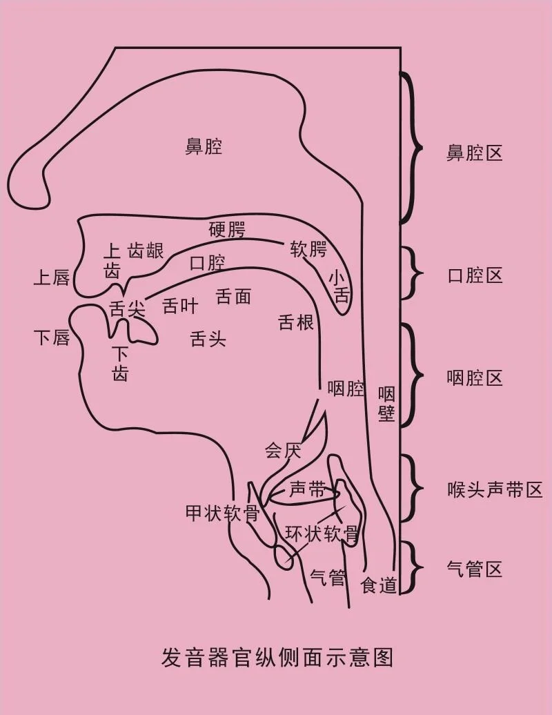 新生儿鼻腔狭窄图片