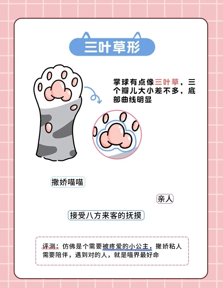 猫咪爪子性格图片