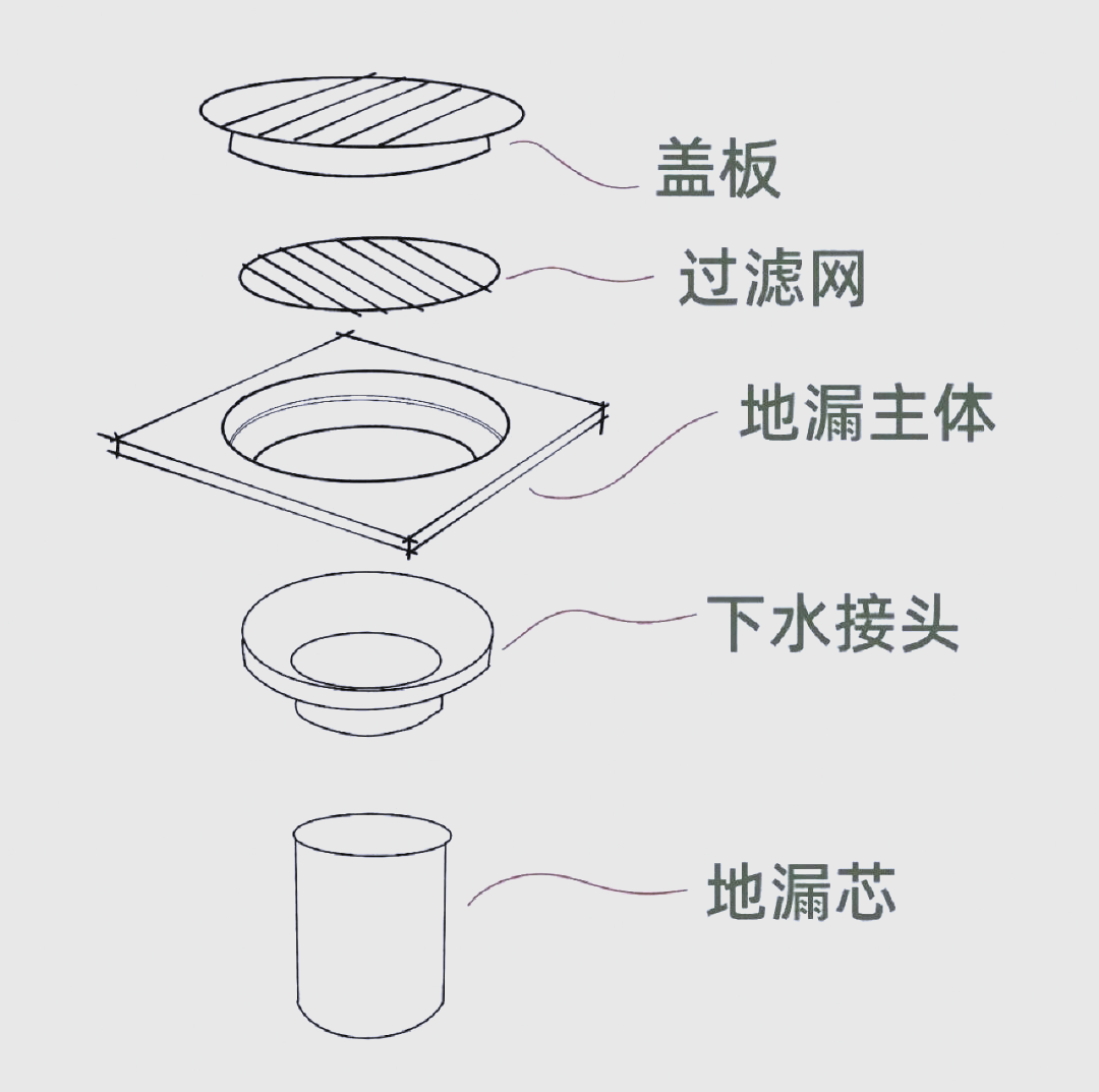 地漏的结构  地