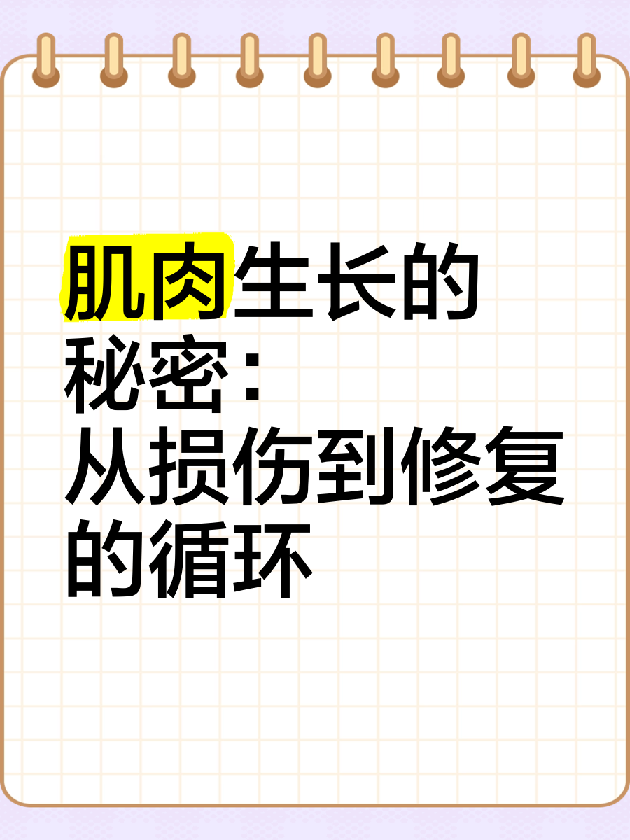 肌肉生长的秘密图片