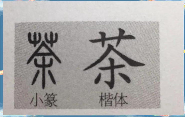 茶字的秘密 从古至今的解读