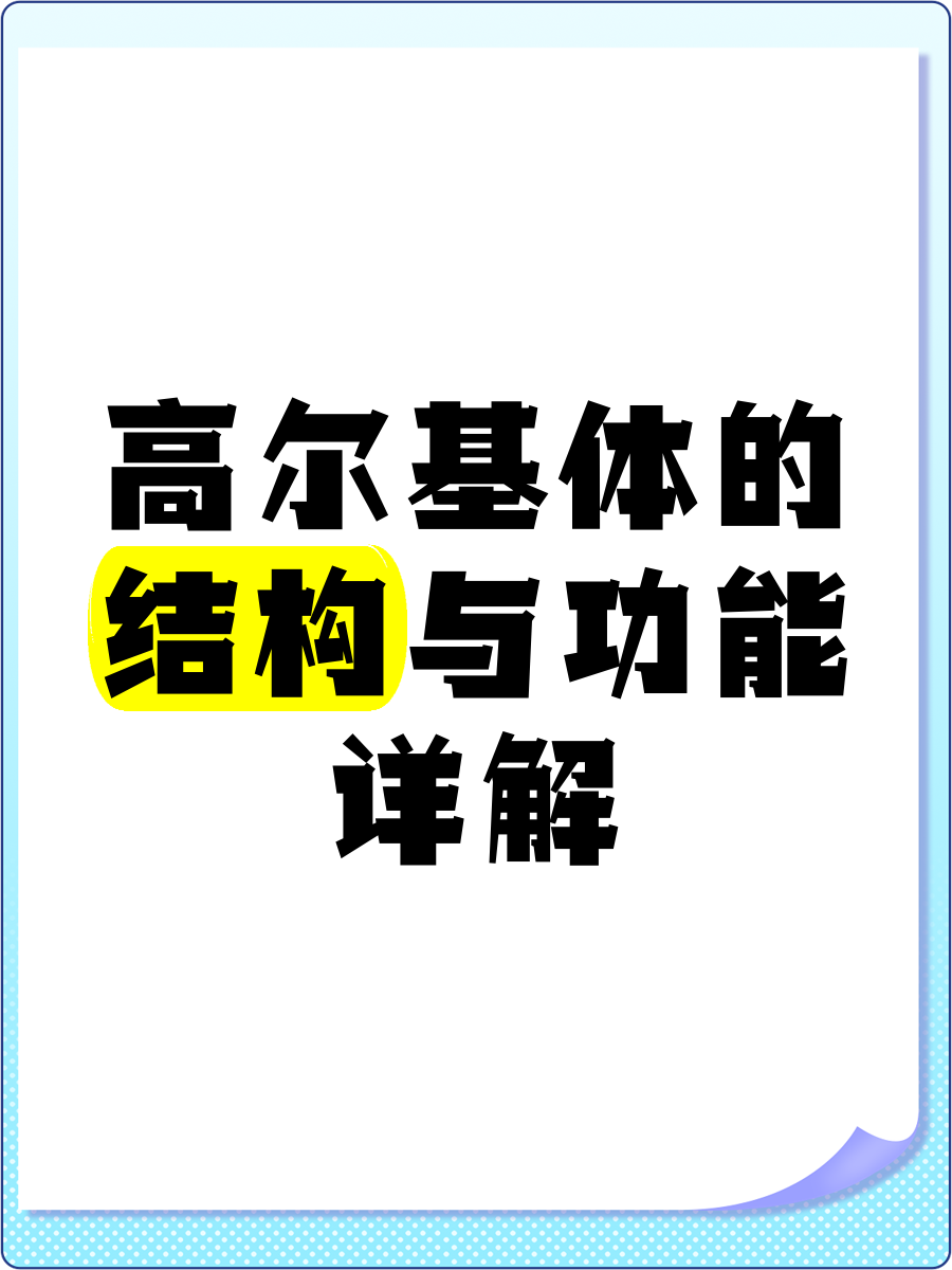 高尔基体顺面和反面图片