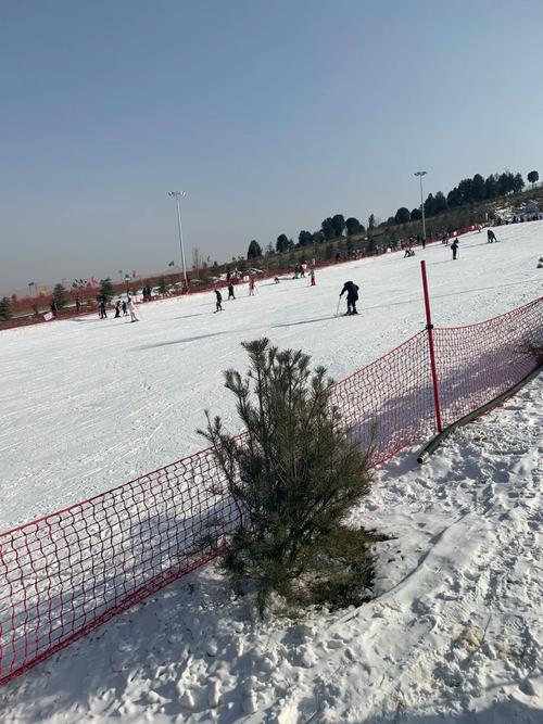 山东茶山滑雪场图片