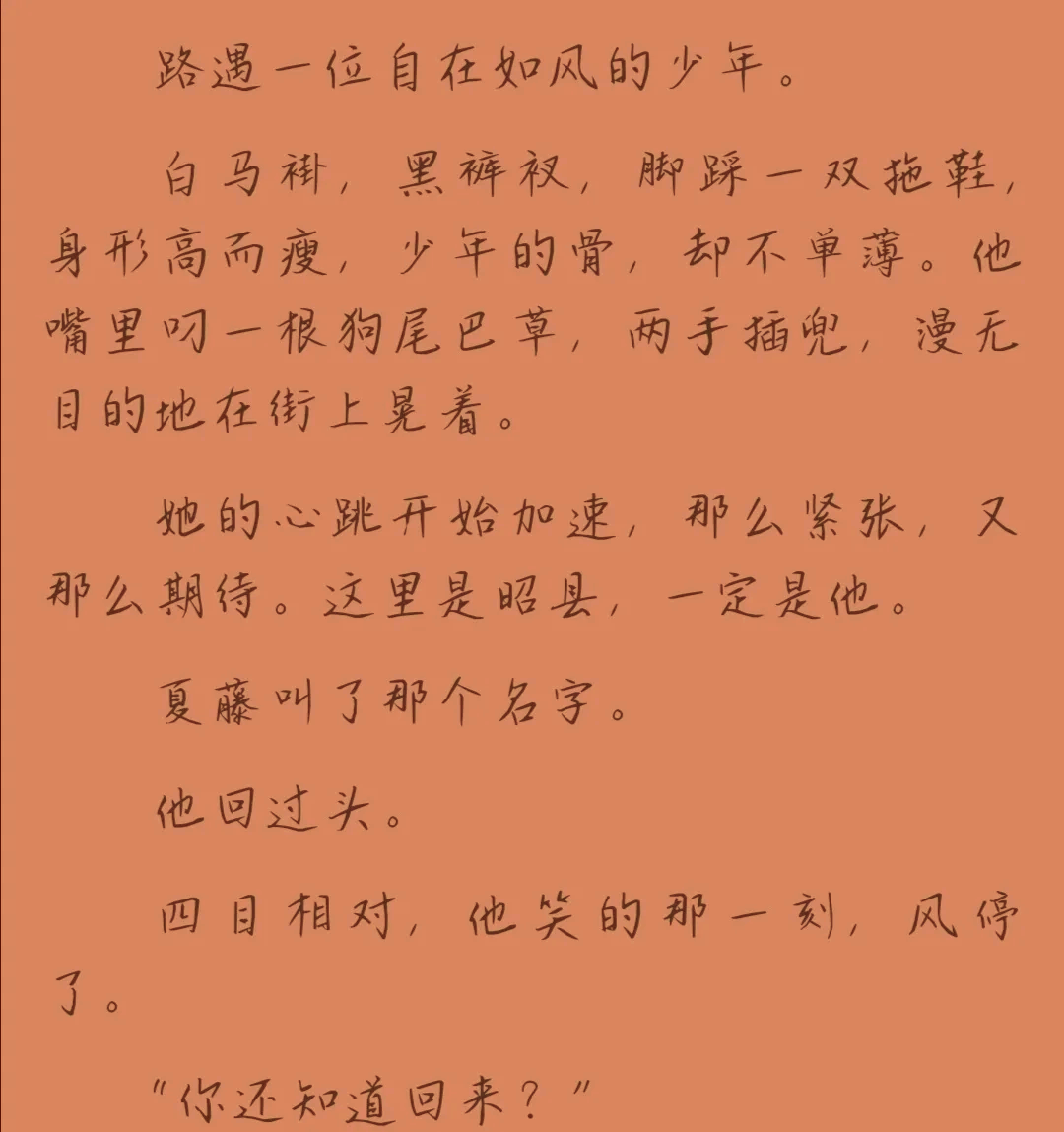 《酸梅》抄袭图片