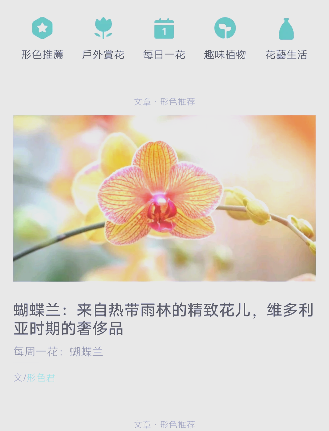 一键识花app 海外花友的植物指南