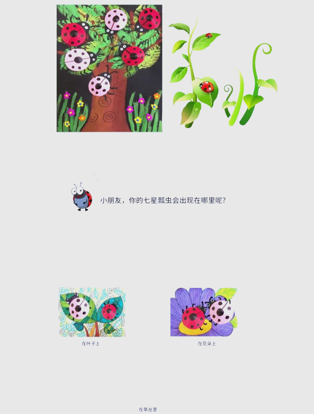 七星瓢虫创意画教案图片