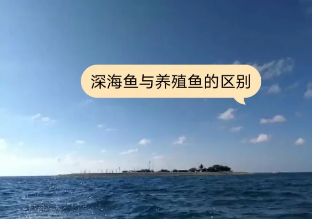 深海鱼与养殖鱼:5大区别详解