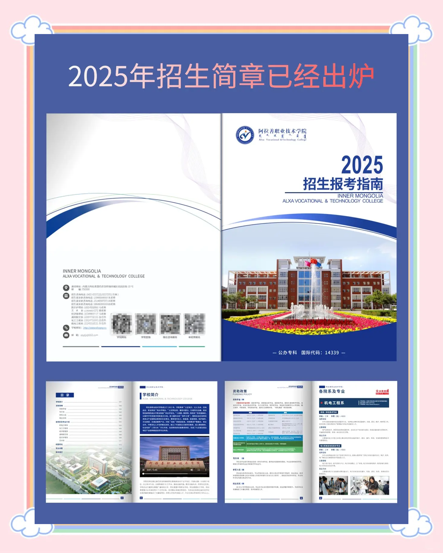 2025招生简章设计亮点解析