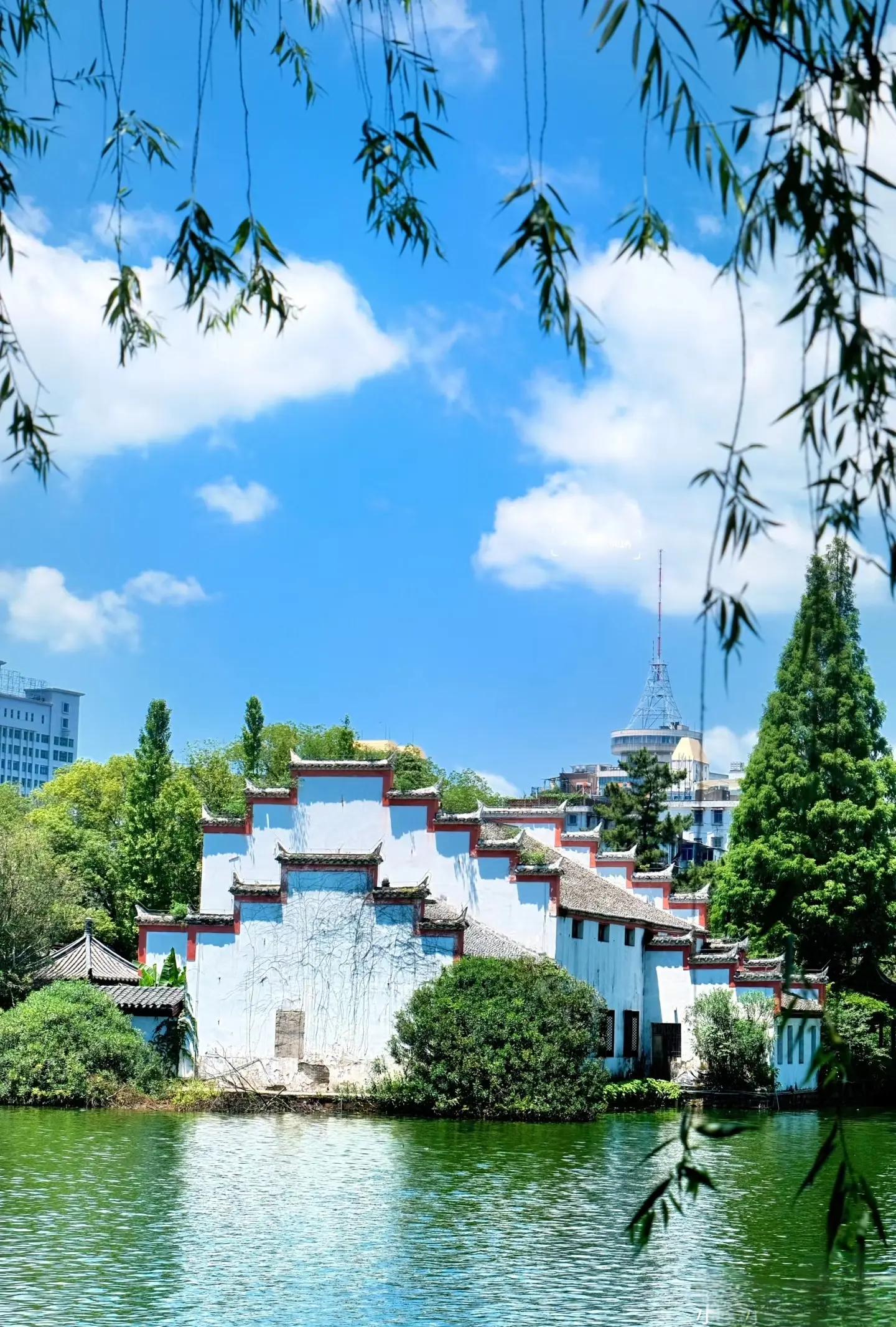 江西十大 文化瑰宝 惊艳绽放相关图片2