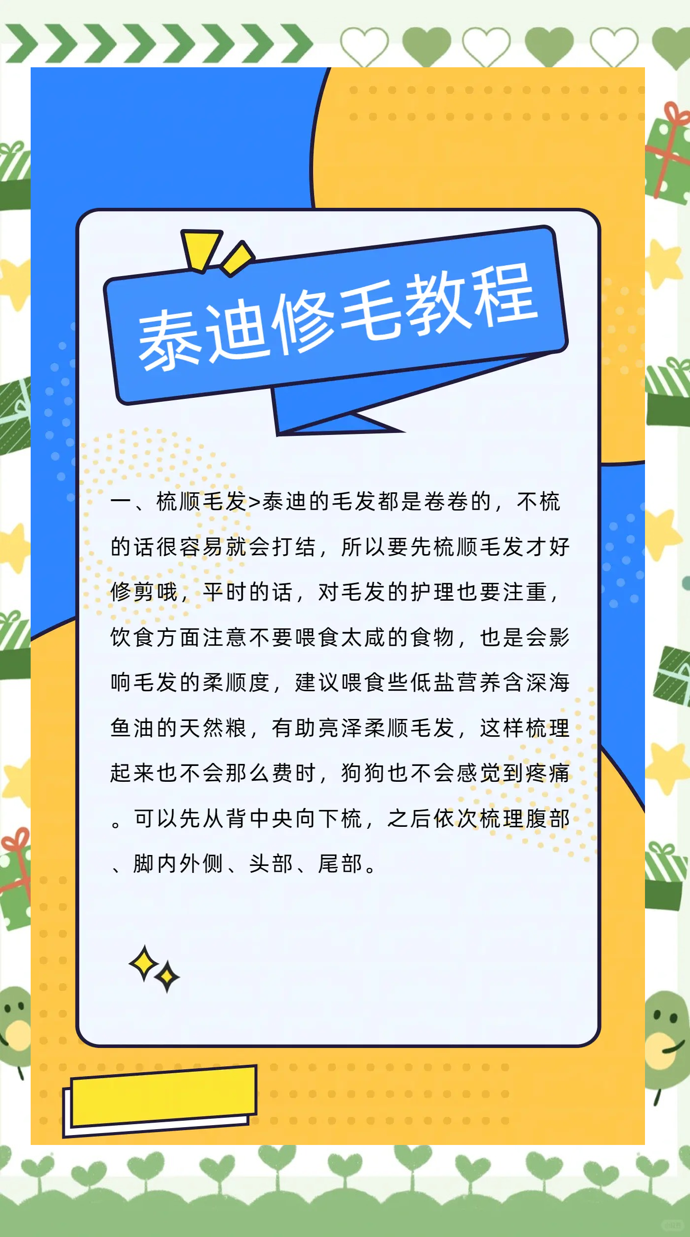 泰迪修毛全攻略 让你的狗狗毛发亮丽如初