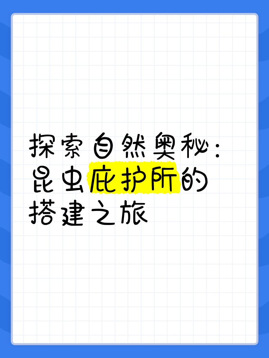 9191 探索自然奥秘 昆虫庇护所的搭建之旅