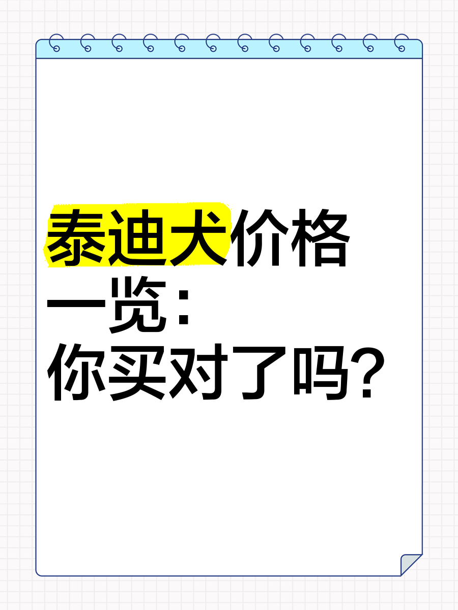 泰迪犬报价市场价图片