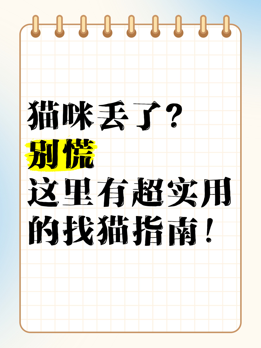 猫咪丢了?别慌,这里有超实用的找猫指南!