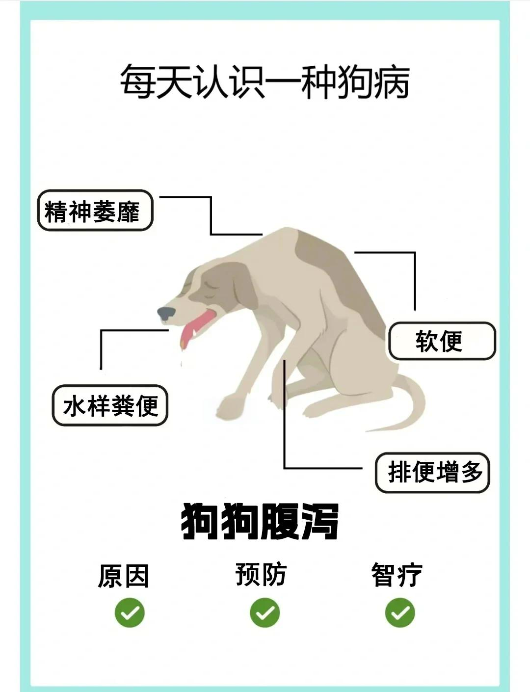 狗狗拉稀图片大全解说图片