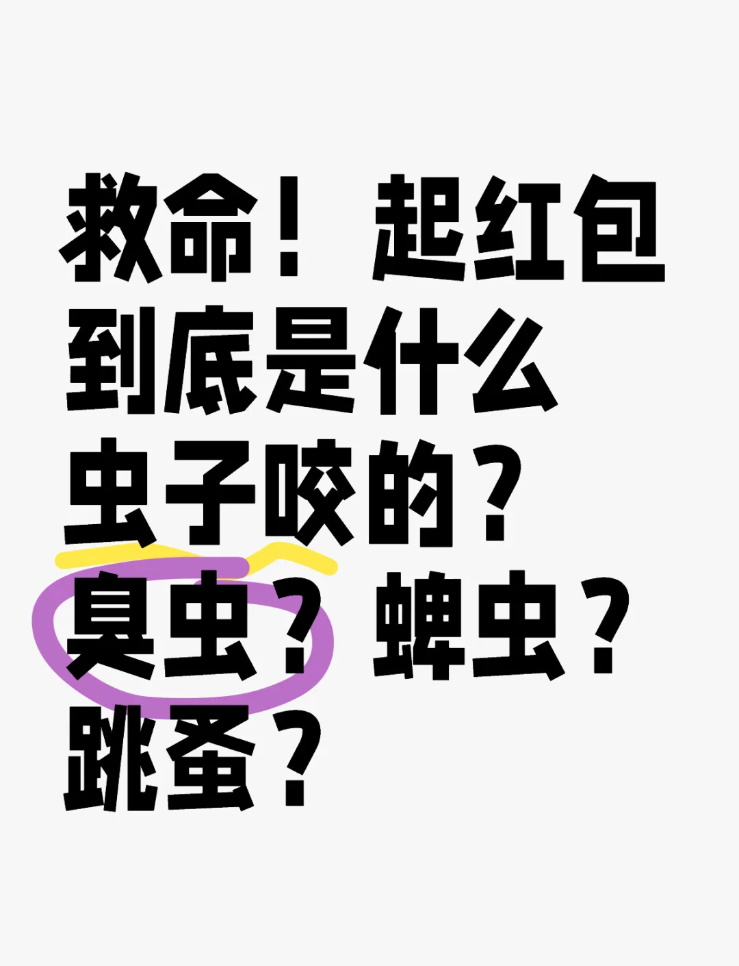 怎么判断被什么虫子咬图片