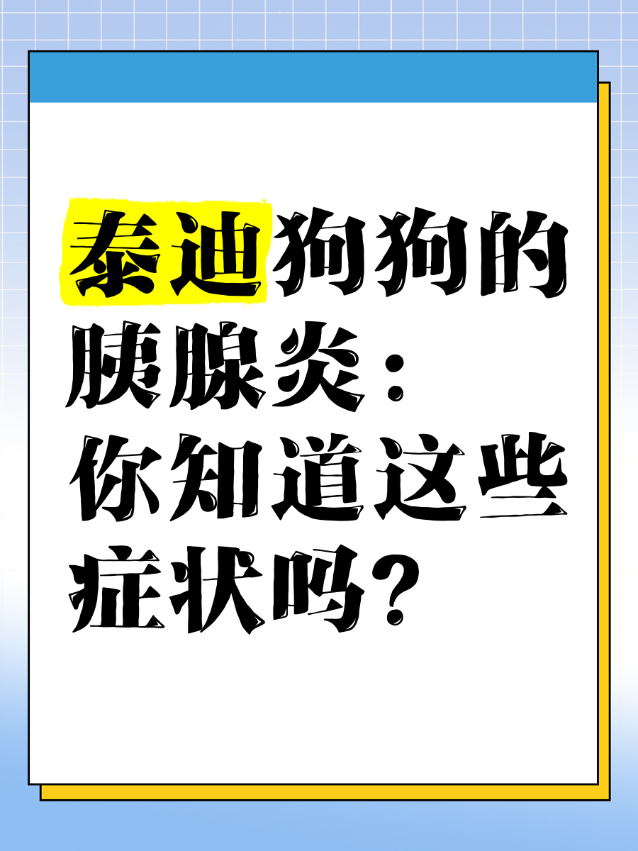 泰迪狗胰腺炎图片