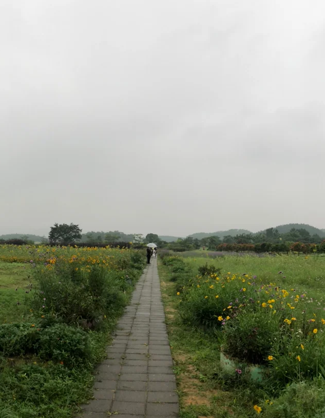 台山寻皇大草原图片图片