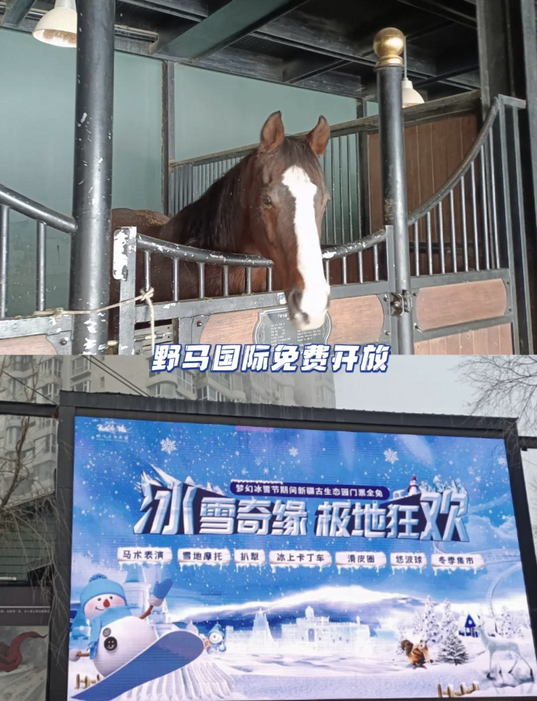 野马古生态园门票图片