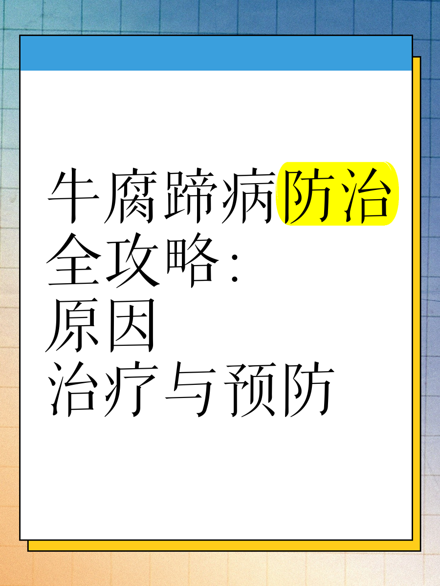 牛腐蹄病最快治疗方法图片