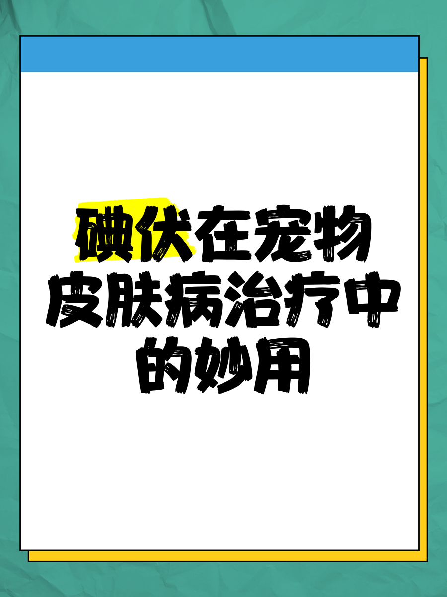 碘伏在宠物皮肤病治疗中的妙用