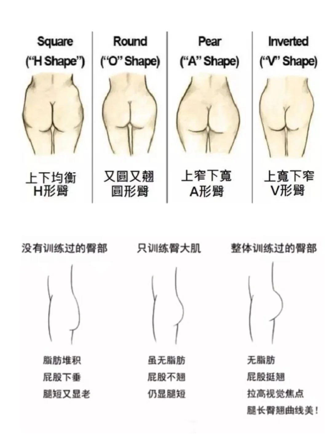 臀围线的位置图图片