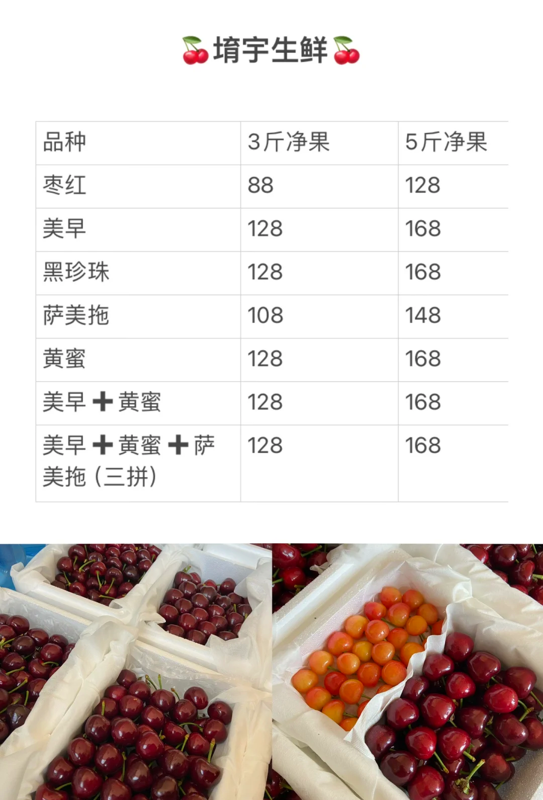 大樱桃品种介绍图片