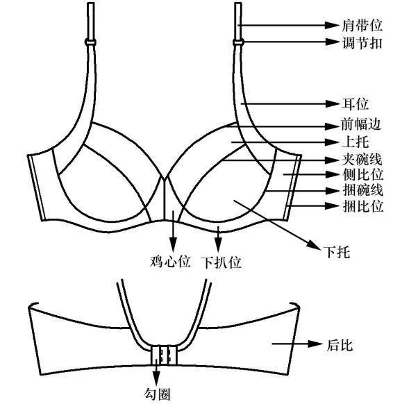 文胸组成图图片