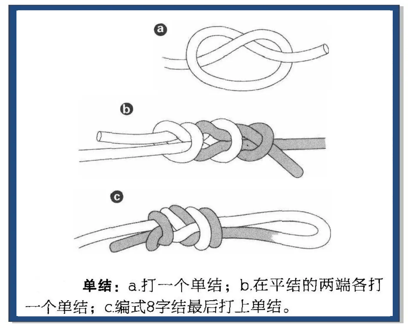 攀岩下降绳结打法图解图片