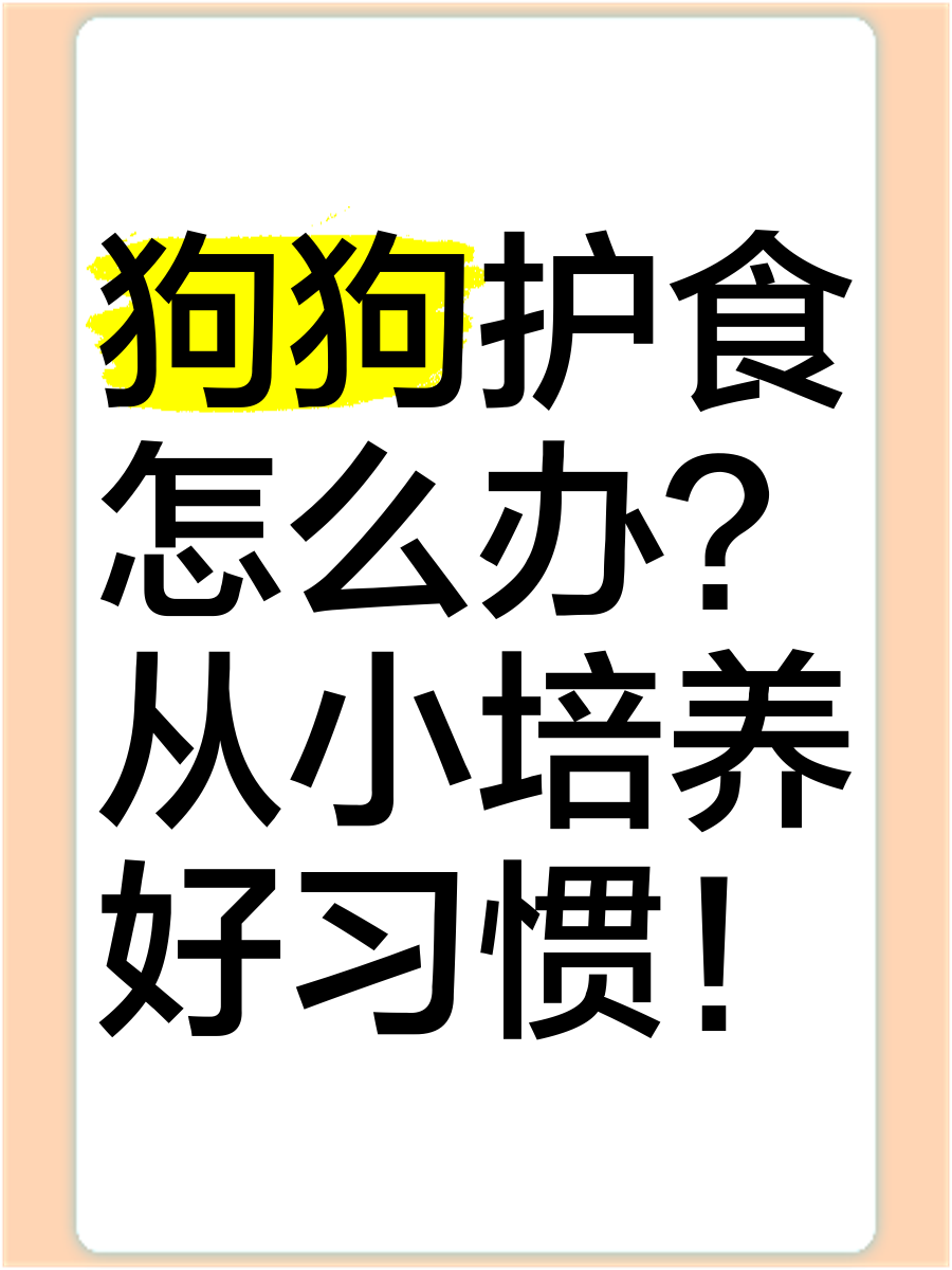 狗狗护食怎么办?从小培养好习惯