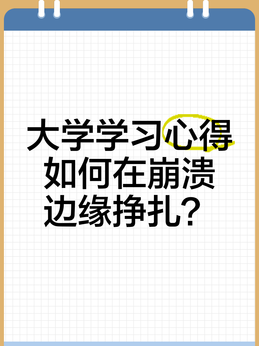 大学学习心得 如何在崩溃边缘挣扎?