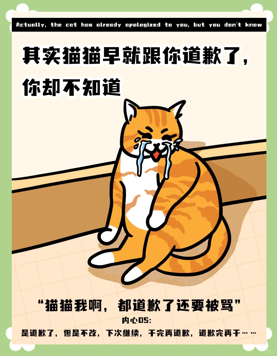 猫咪的6种道歉方式