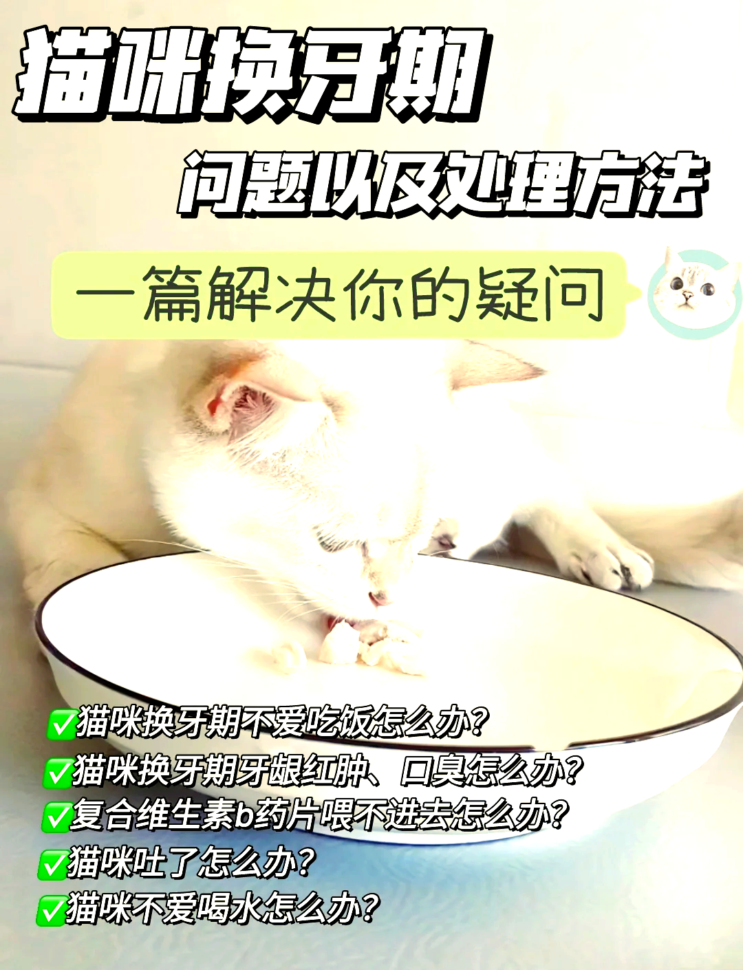 猫咪换牙顺序图片图片