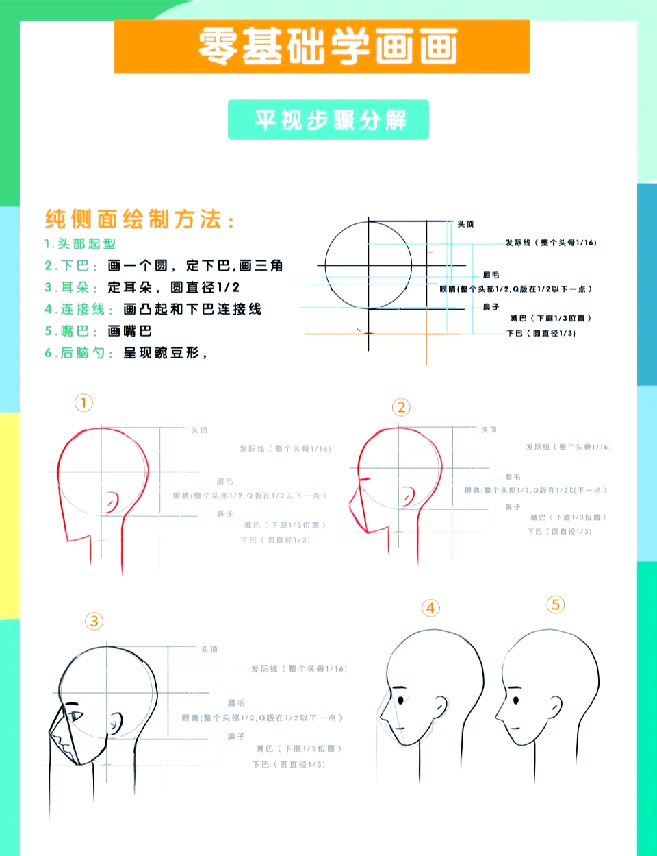 侧脸图解图片