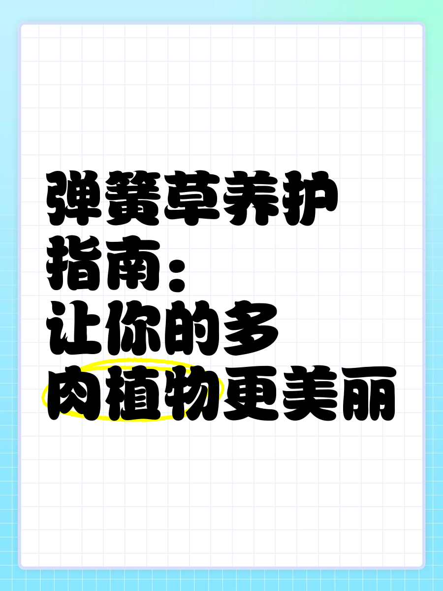 多肉弹簧草养殖方法图片